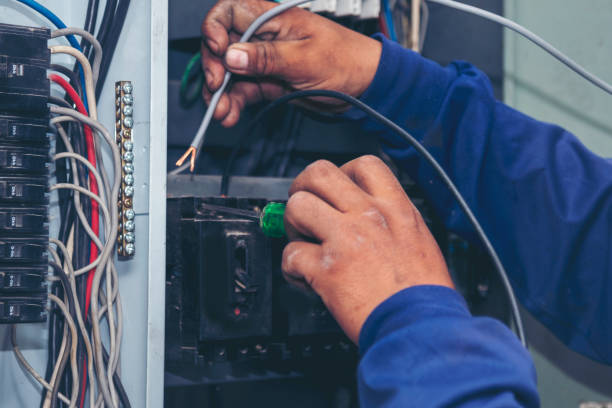 Best Ceiling Fan Installation Electrician  in Vine Grove, KY